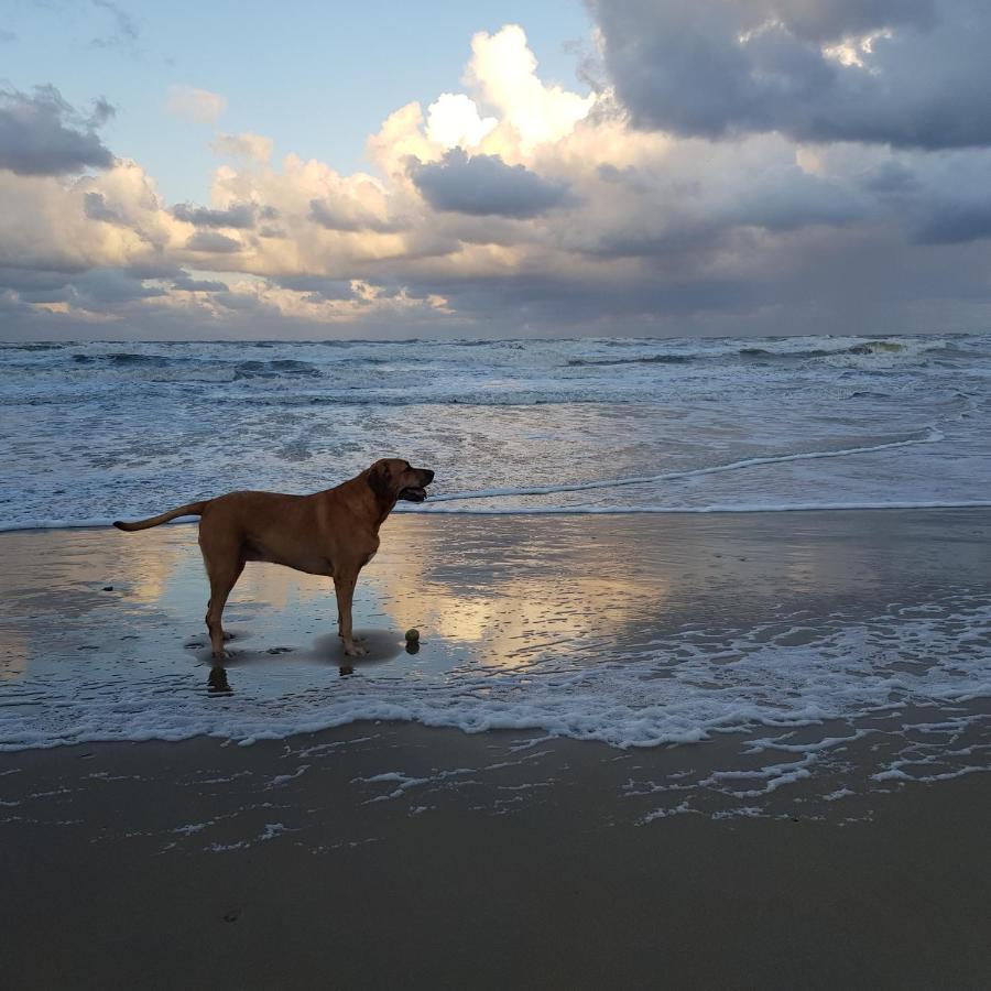 In De Bocht Villa Heiloo Bagian luar foto